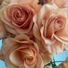 annette0630